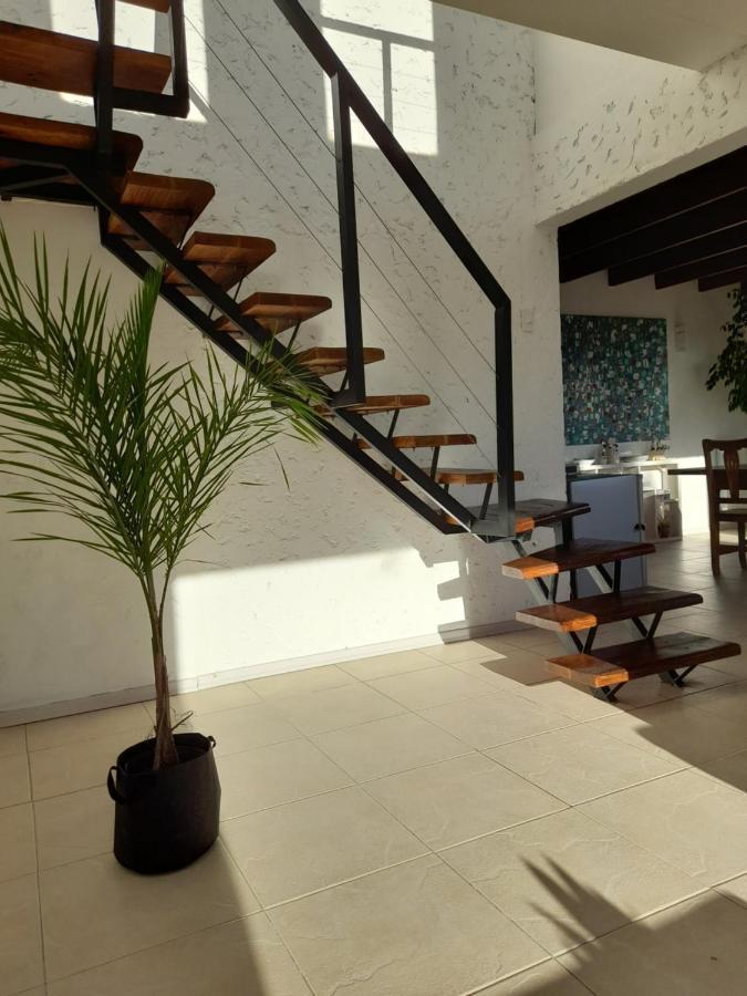 Casa Luminosa Con Parque Y Vista Espectacular Apartment Ел Калафате Екстериор снимка
